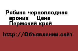 Рябина черноплодная (арония) › Цена ­ 120 - Пермский край  »    